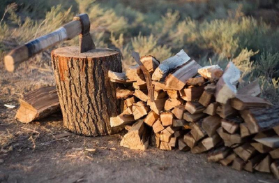 Эксперимент от Заксобрания: дрова за бюджетный счет