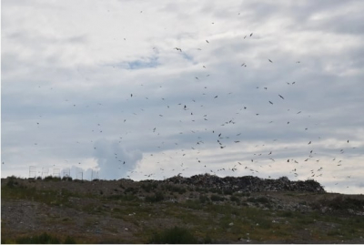 Мэра Анатолия Локтя пригласили погостить в квартире между помойкой и кладбищем